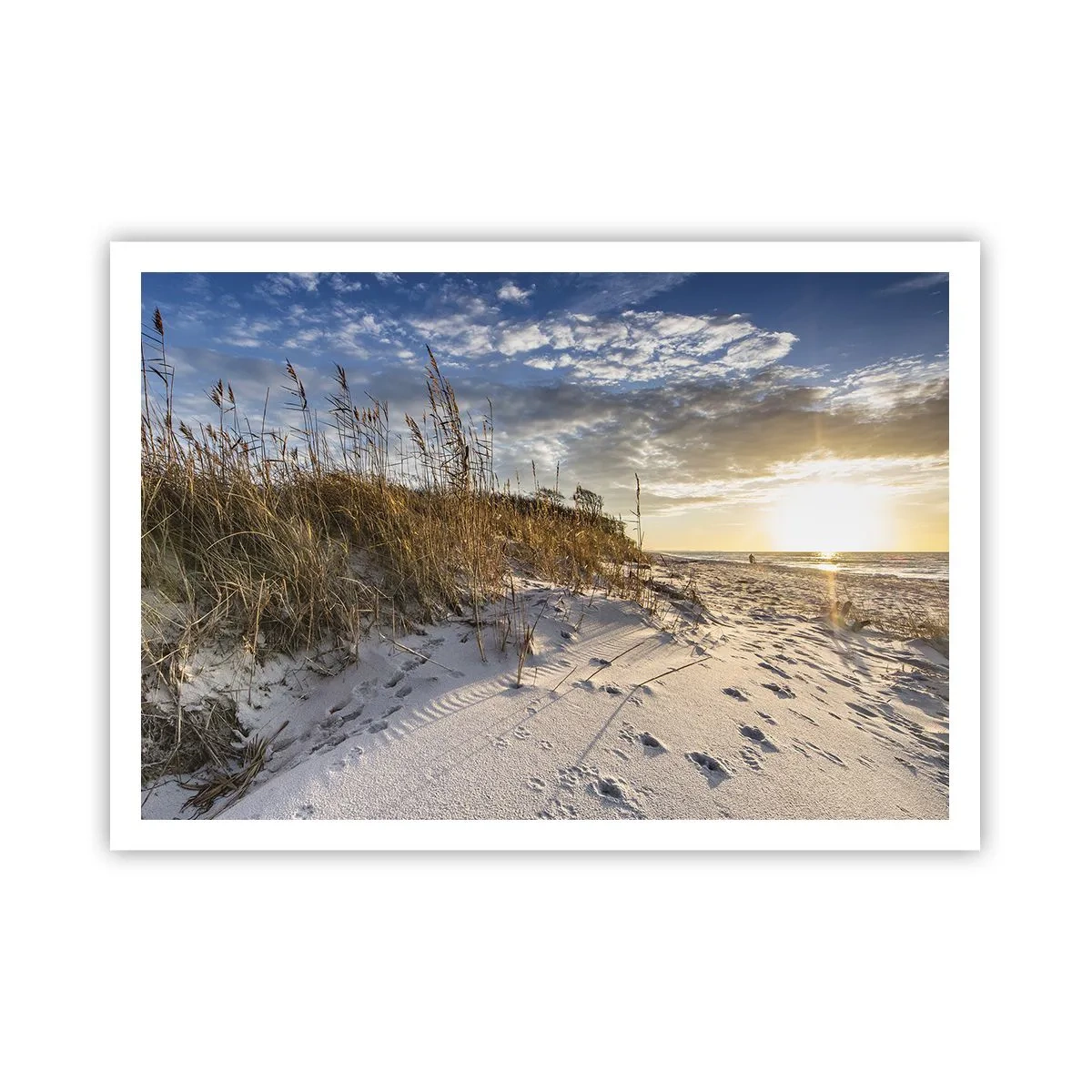 Poster - Invitație la o plimbare - 100x70 cm