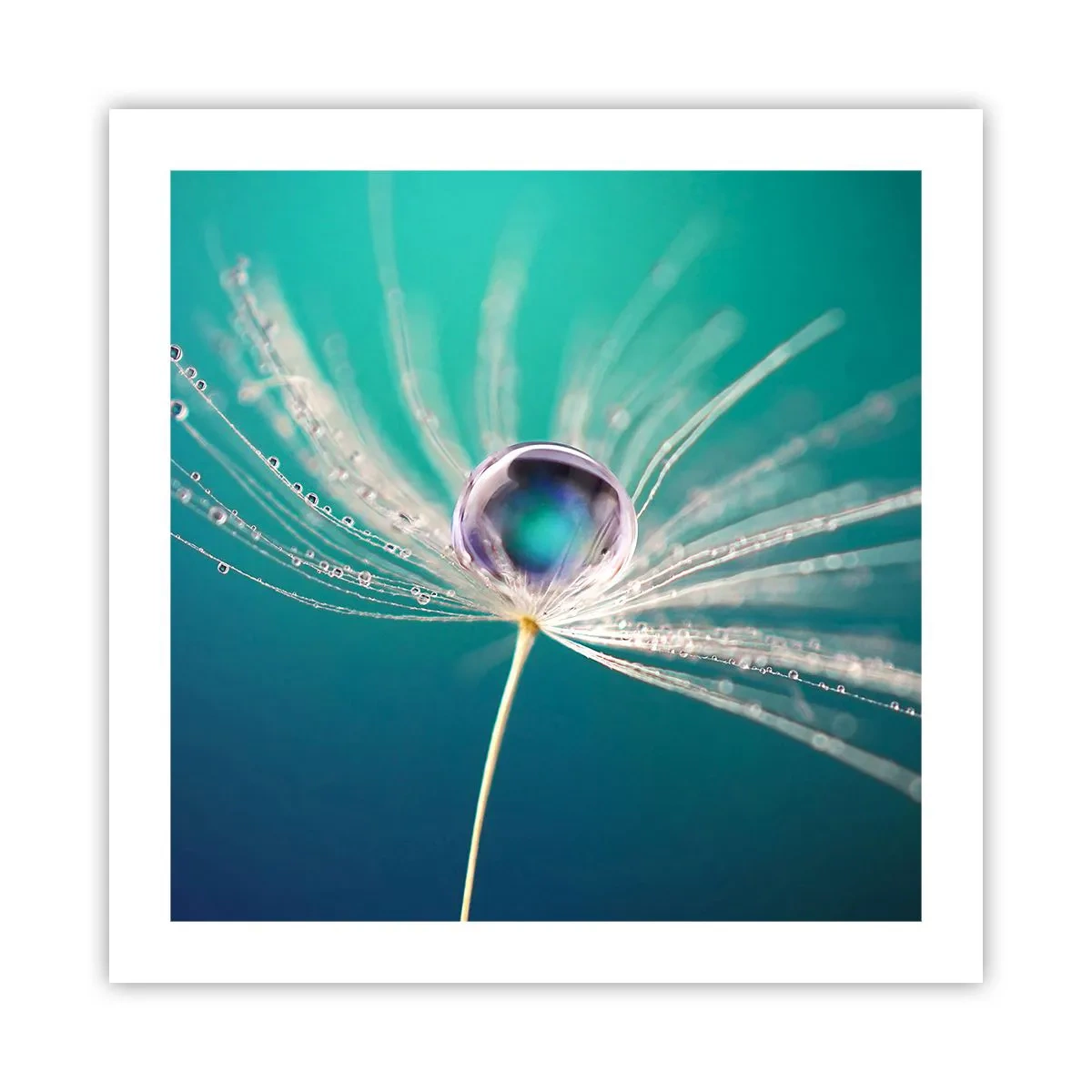 Poster - Moment mistic - 50x50 cm