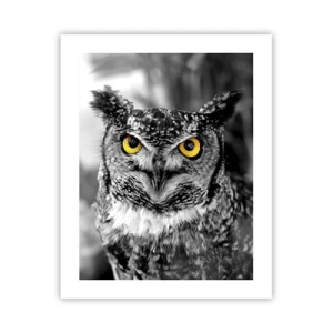 Poster - Nimic nu poate fi ascuns - 40x50 cm