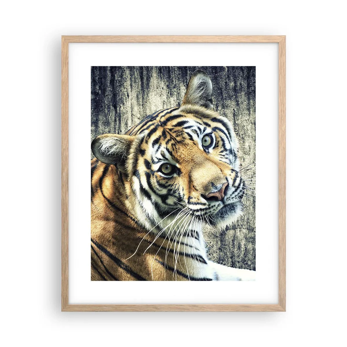 Poster în ramă de stejar deschis - Portret în fluxuri de lumină - 40x50 cm