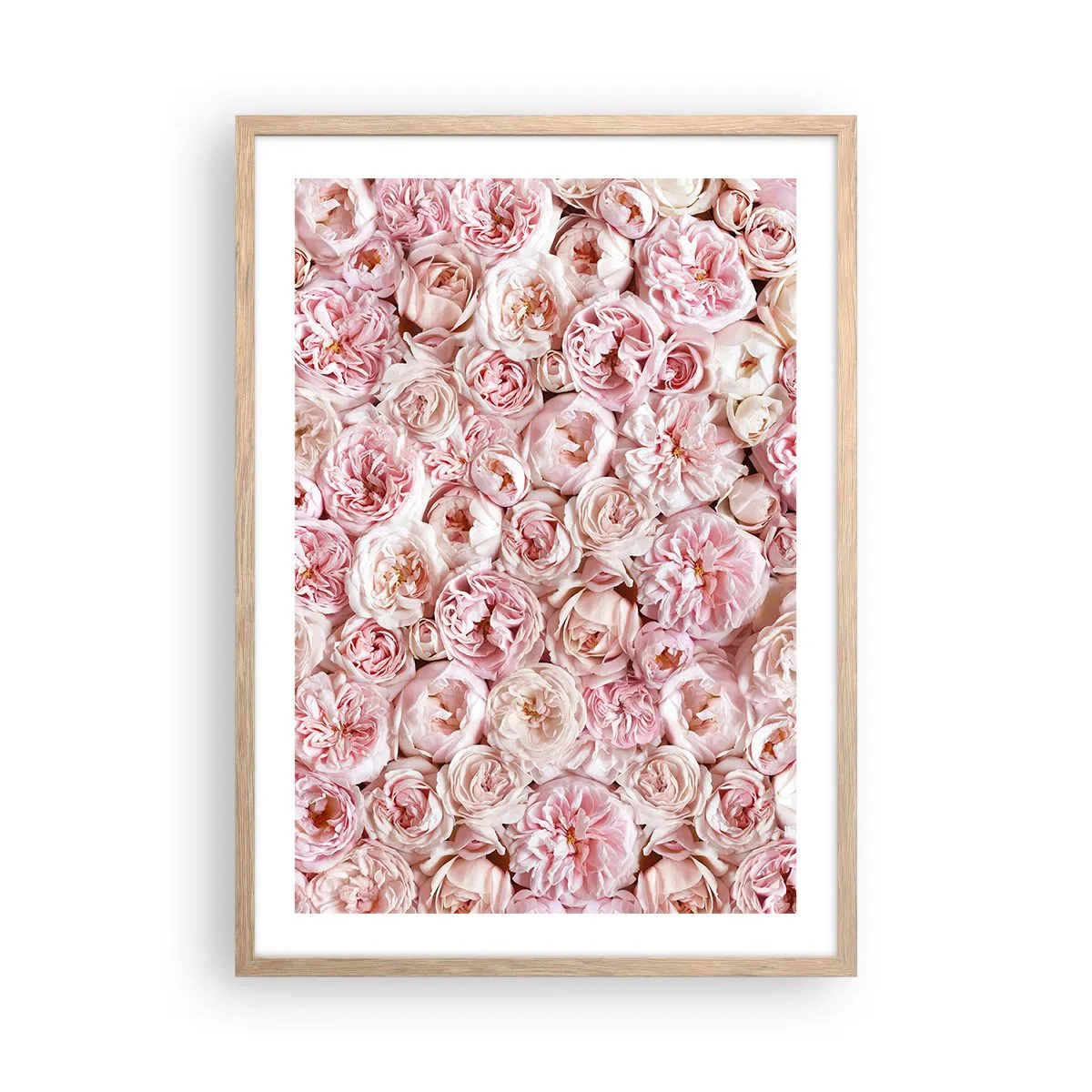 Poster în ramă de stejar deschis - Presărat cu trandafiri - 50x70 cm
