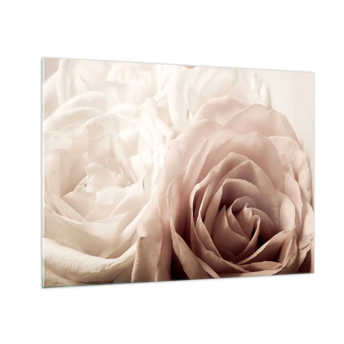 Tablou pe sticlă - Trandafiri delicați și ușori într-un prim-plan romantic - 70x50cm - În inima unui trandafir - Decorațiune modernă pentru perete pentru living și dormitor ARTTOR