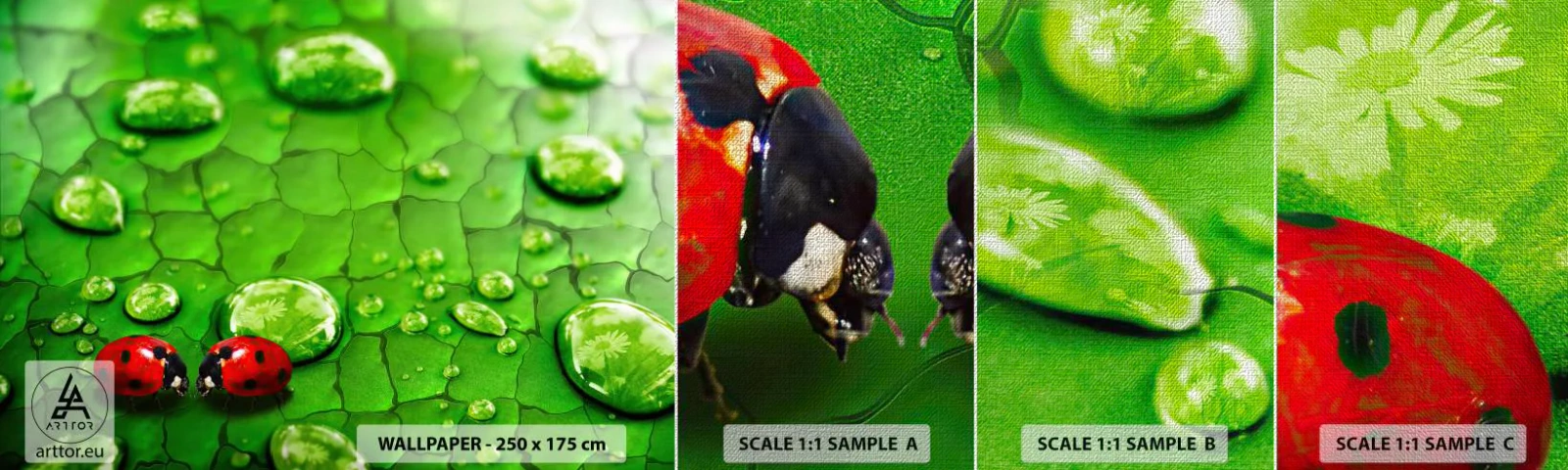 Mostră tapet Premium Canvas - Întâlnire în verde - Natură, Buburuza, O picătură de apă - 100x30 cm