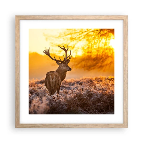 Poster în ramă de stejar deschis - Regele pădurii de toamnă - 40x40 cm