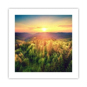 Poster - Vârfuri și culmi - 40x40 cm