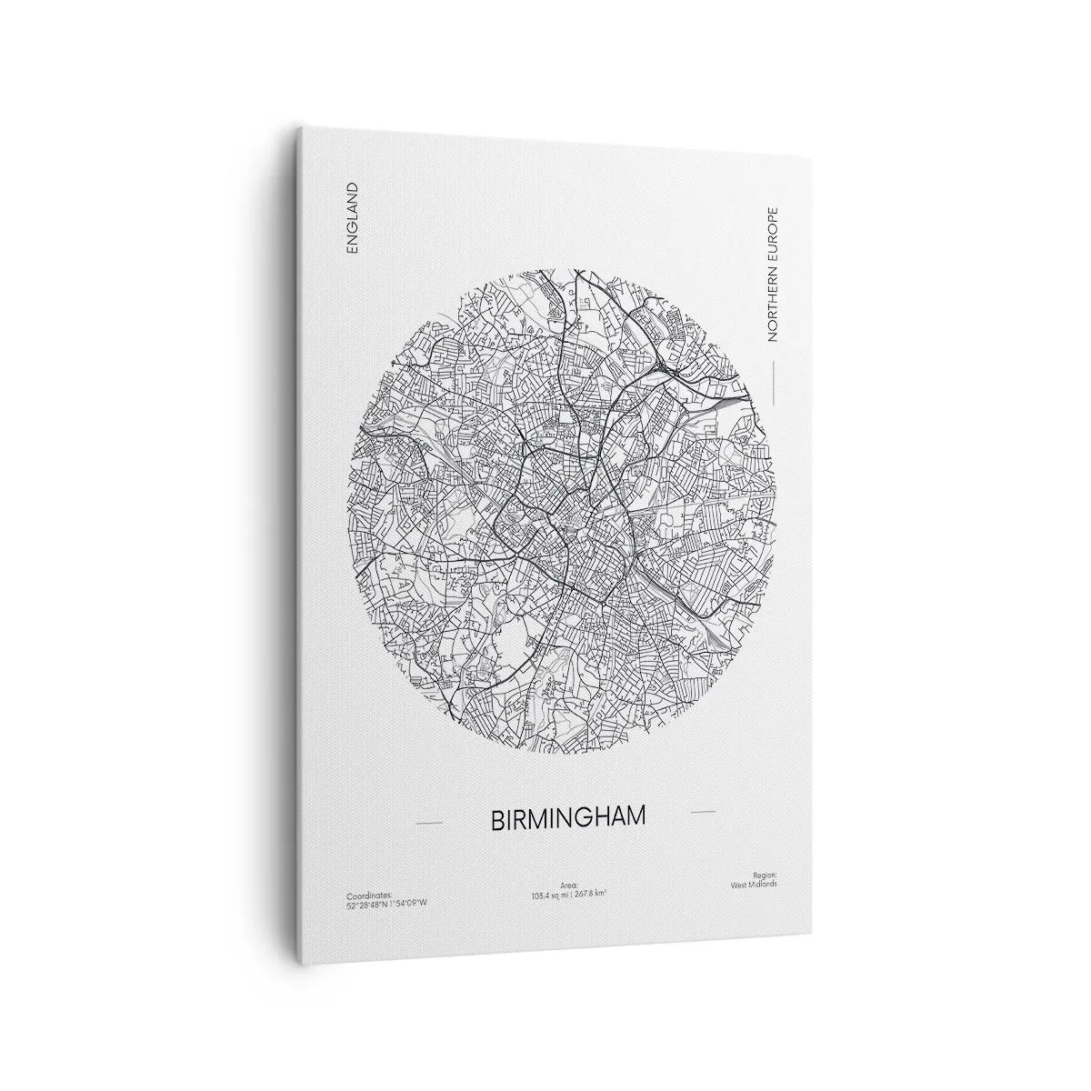 Tablou pe pânză - Anatomia Birmingham - 70x100 cm