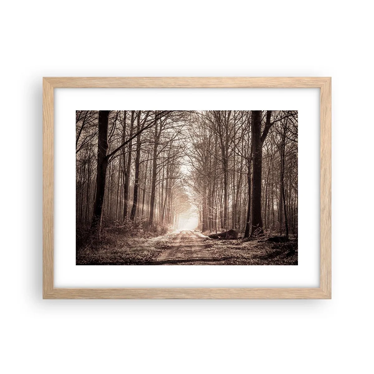 Poster în ramă de stejar deschis - Catedrala Forestieră - 40x30 cm