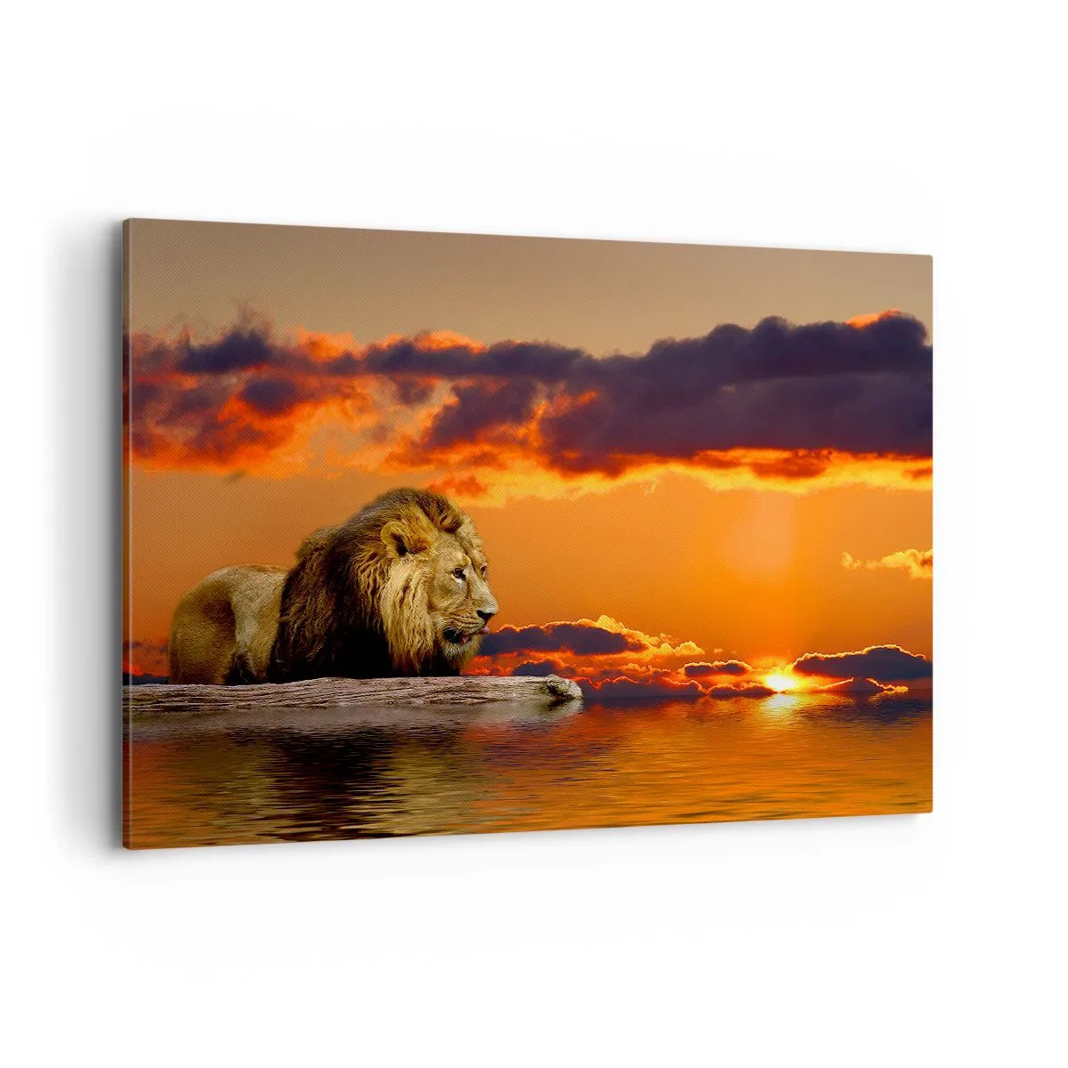 Tablou pe pânză - Regele naturii - 120x80 cm