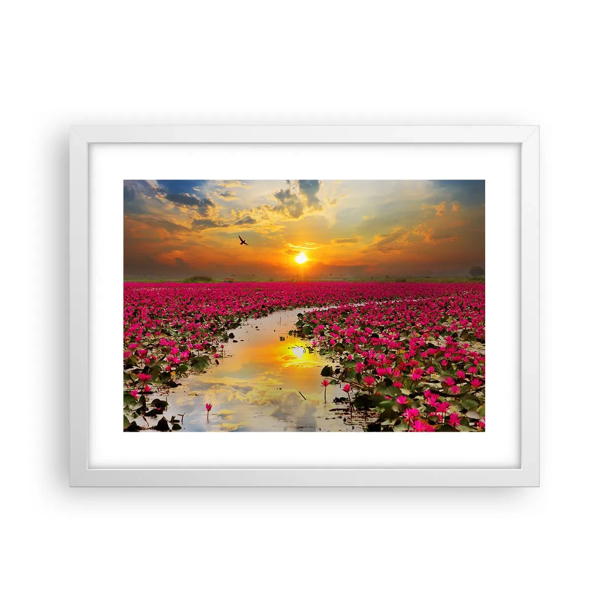 Poster în ramă albă - Viața secretă a lacului - 40x30 cm