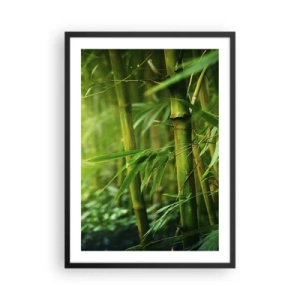 Poster în ramă neagră - O pădure de bambus în nuanțe de verde - 50x70cm - Cunoașteți verdeața în sine - Decorațiune modernă pentru perete pentru living și dormitor ARTTOR