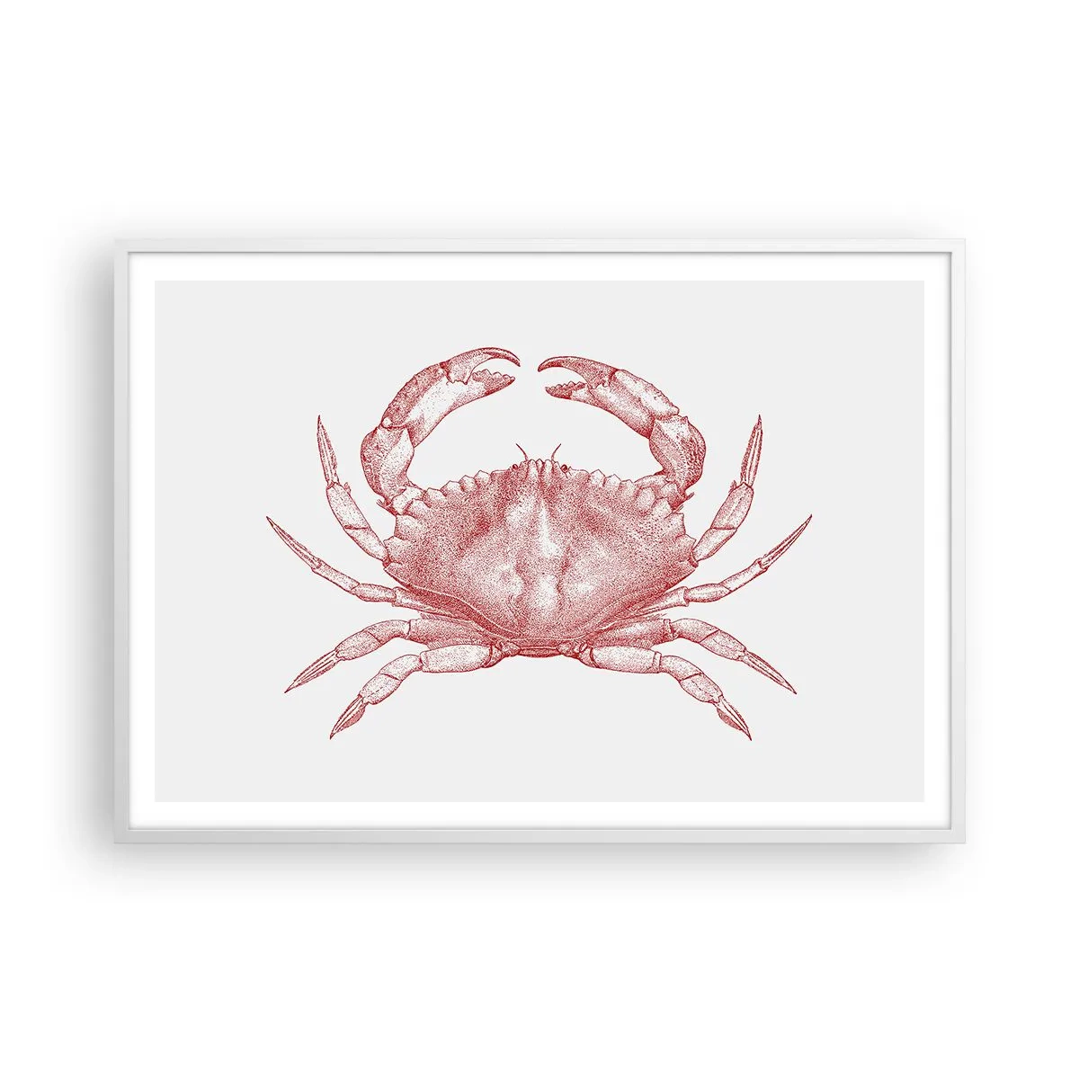 Poster în ramă albă - Crab peste crabi - 100x70 cm