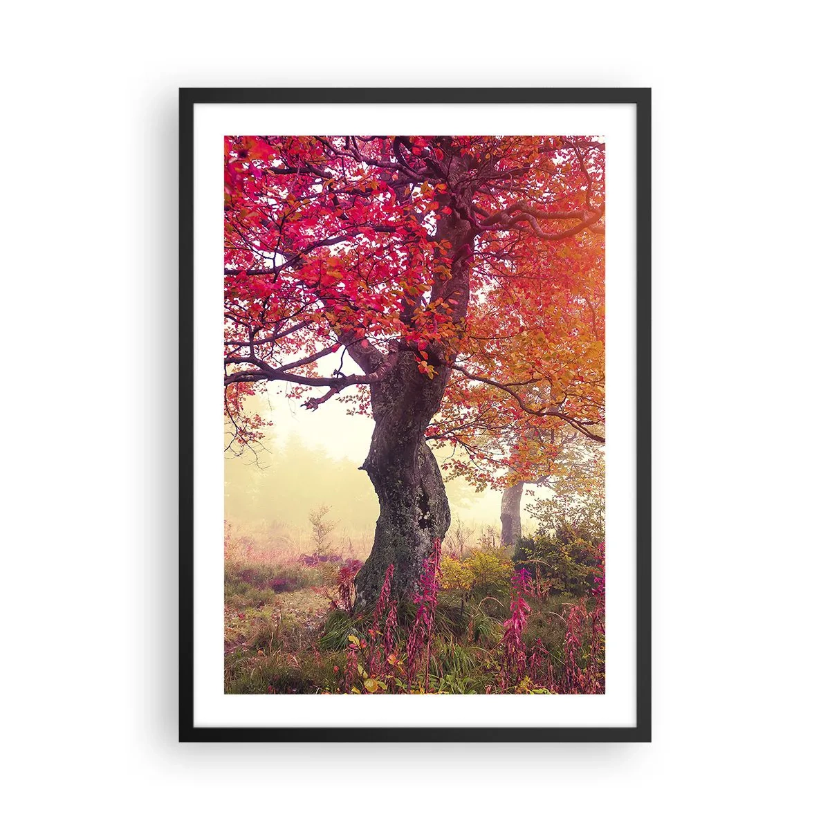 Poster în ramă neagră - Un copac cu frunze roșii într-un peisaj de toamnă - 50x70cm - O frenezie de înflorire - Decorațiune modernă pentru perete pentru living și dormitor ARTTOR