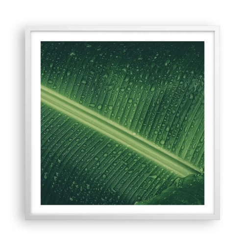 Poster în ramă albă - Structura verdelui - 60x60 cm