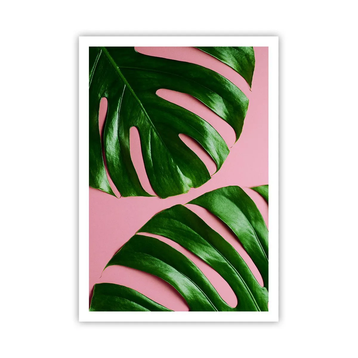 Poster - Întâlnire verde - 70x100 cm