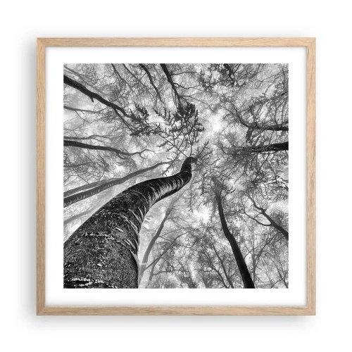 Poster în ramă de stejar deschis - Cursa spre lumină - 50x50 cm