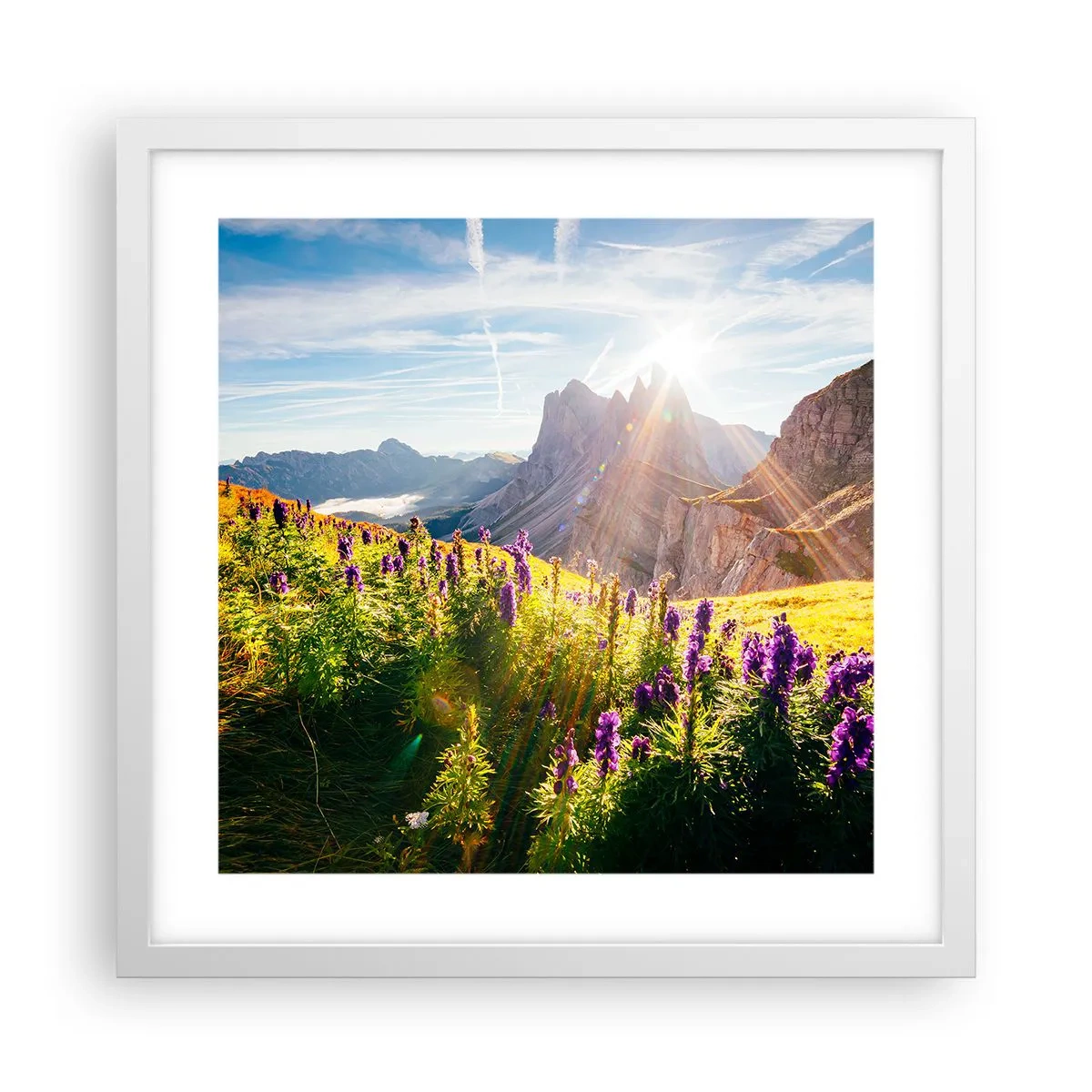 Poster în ramă albă - Viața secretă a ierburilor - 40x40 cm