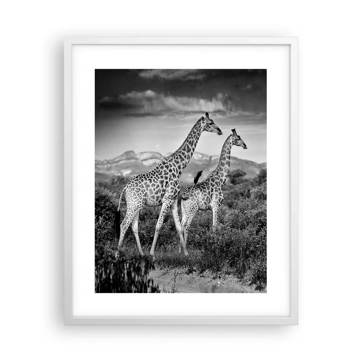 Poster în ramă albă - Clasele superioare din Africa - 40x50 cm