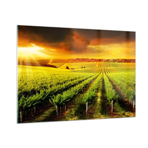 Tablou pe sticlă - Sub soarele australian - 100x70 cm