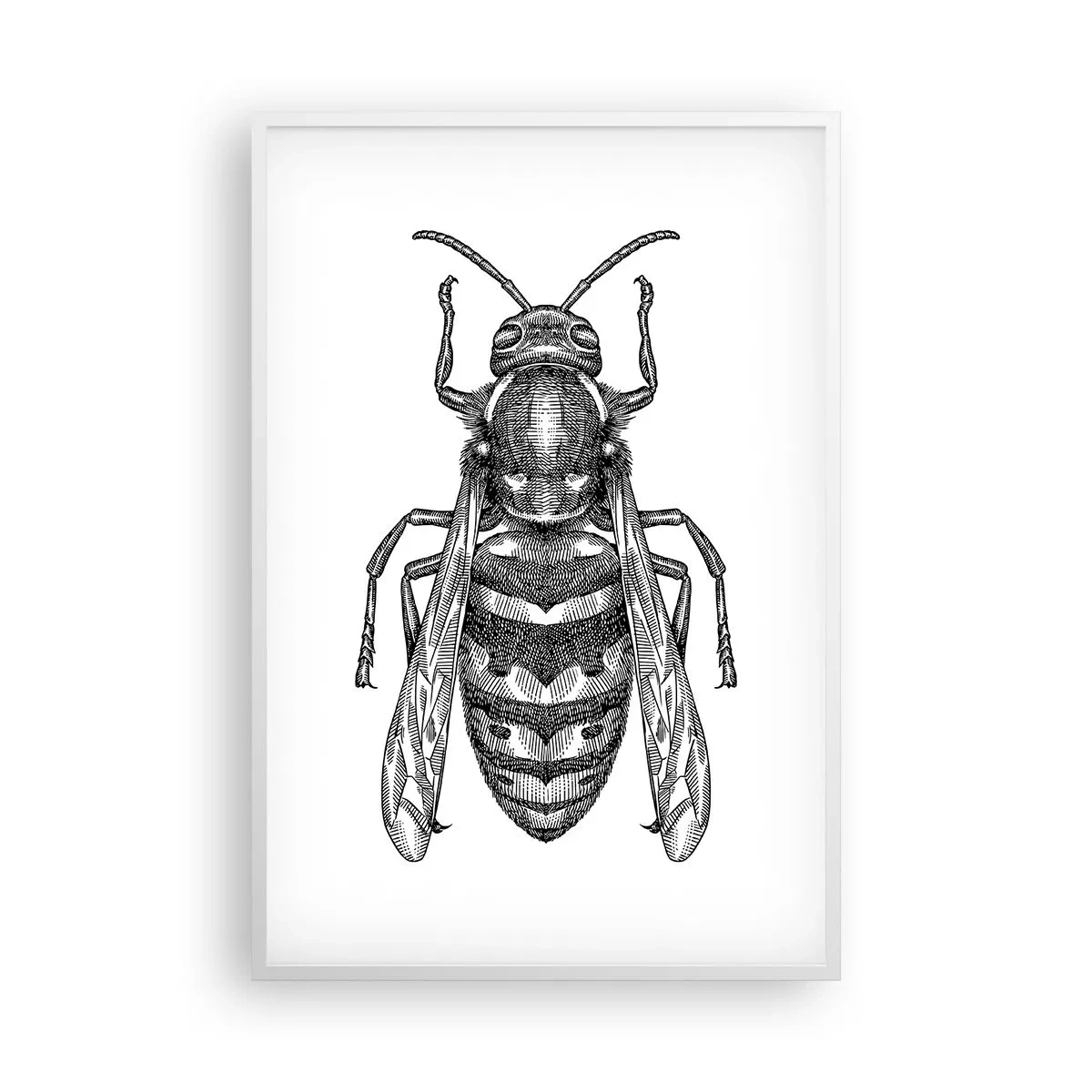 Poster în ramă albă - De pe o planetă de insecte - 61x91 cm