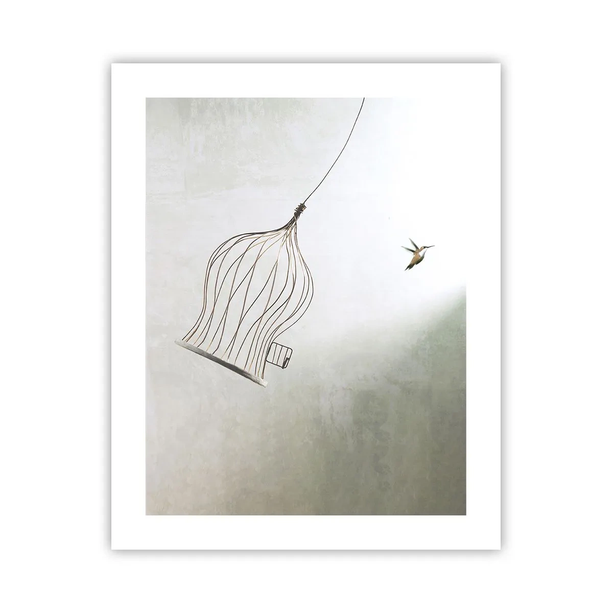 Poster - Eliberat - 40x50 cm