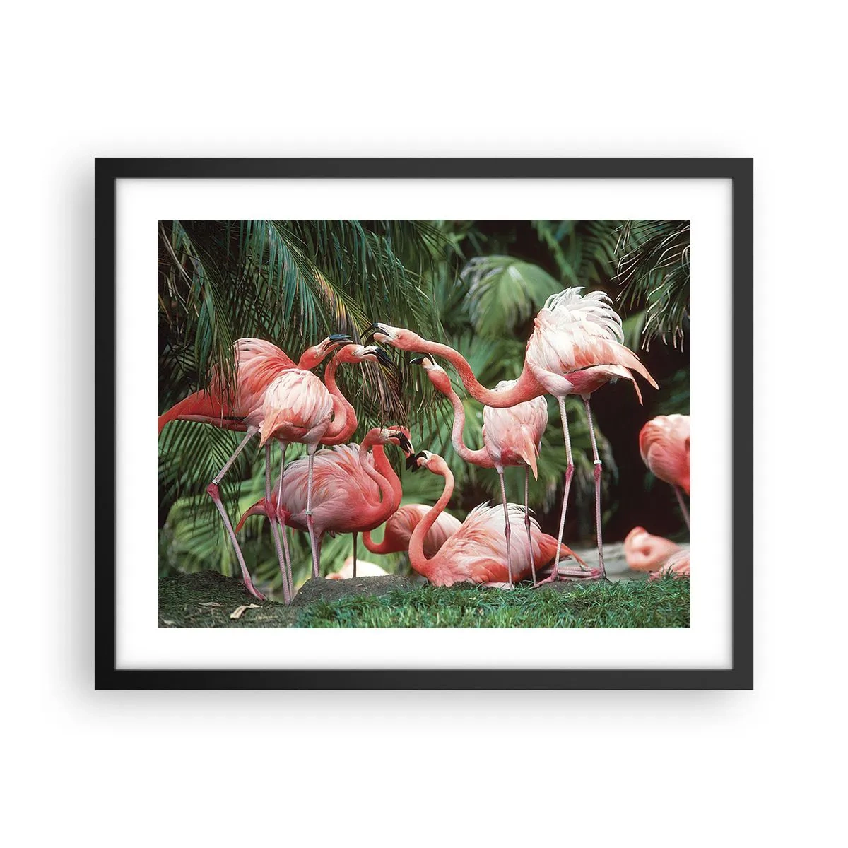 Poster în ramă neagră - Bârfa de după-amiază - 50x40 cm