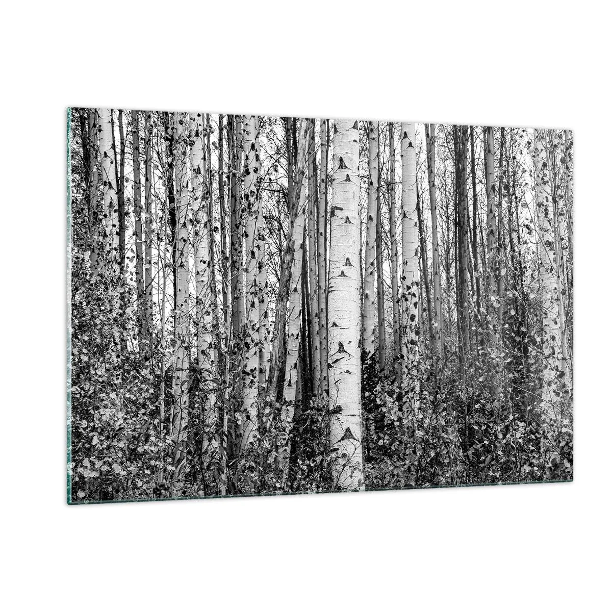 Tablou pe sticlă - Coloane de mesteacăn - 120x80 cm