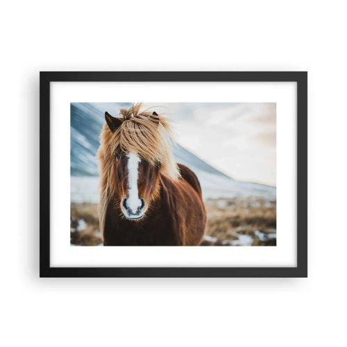 Poster în ramă neagră - Simțiți libertatea? - 40x30 cm