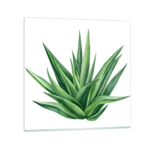 Tablou pe sticlă - Verde - putere - viață - 60x60 cm