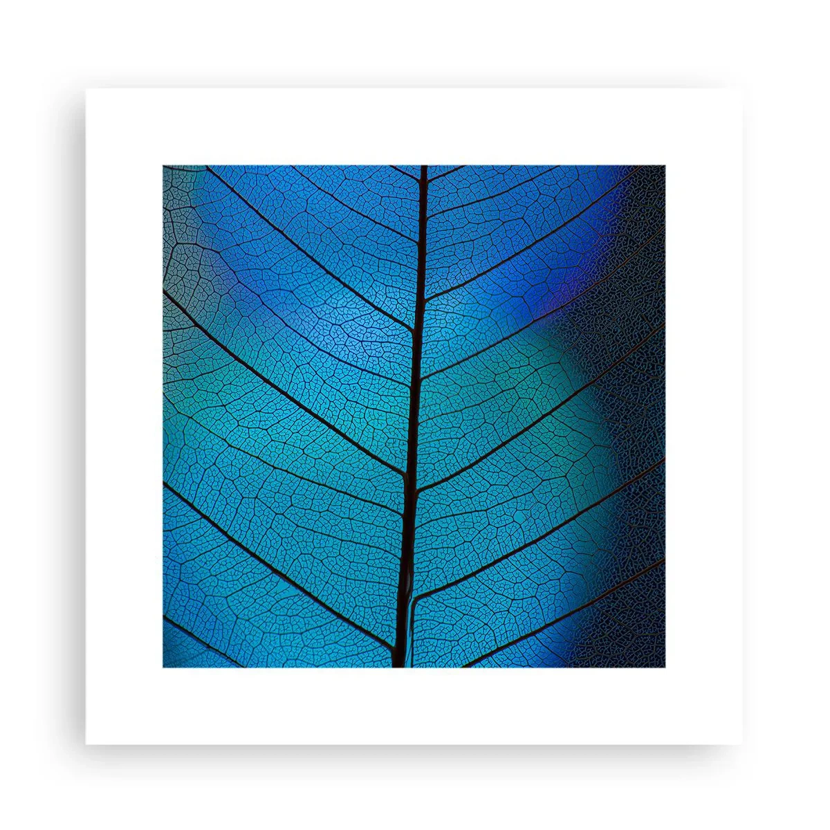 Poster - Construcție de finețe - 30x30 cm