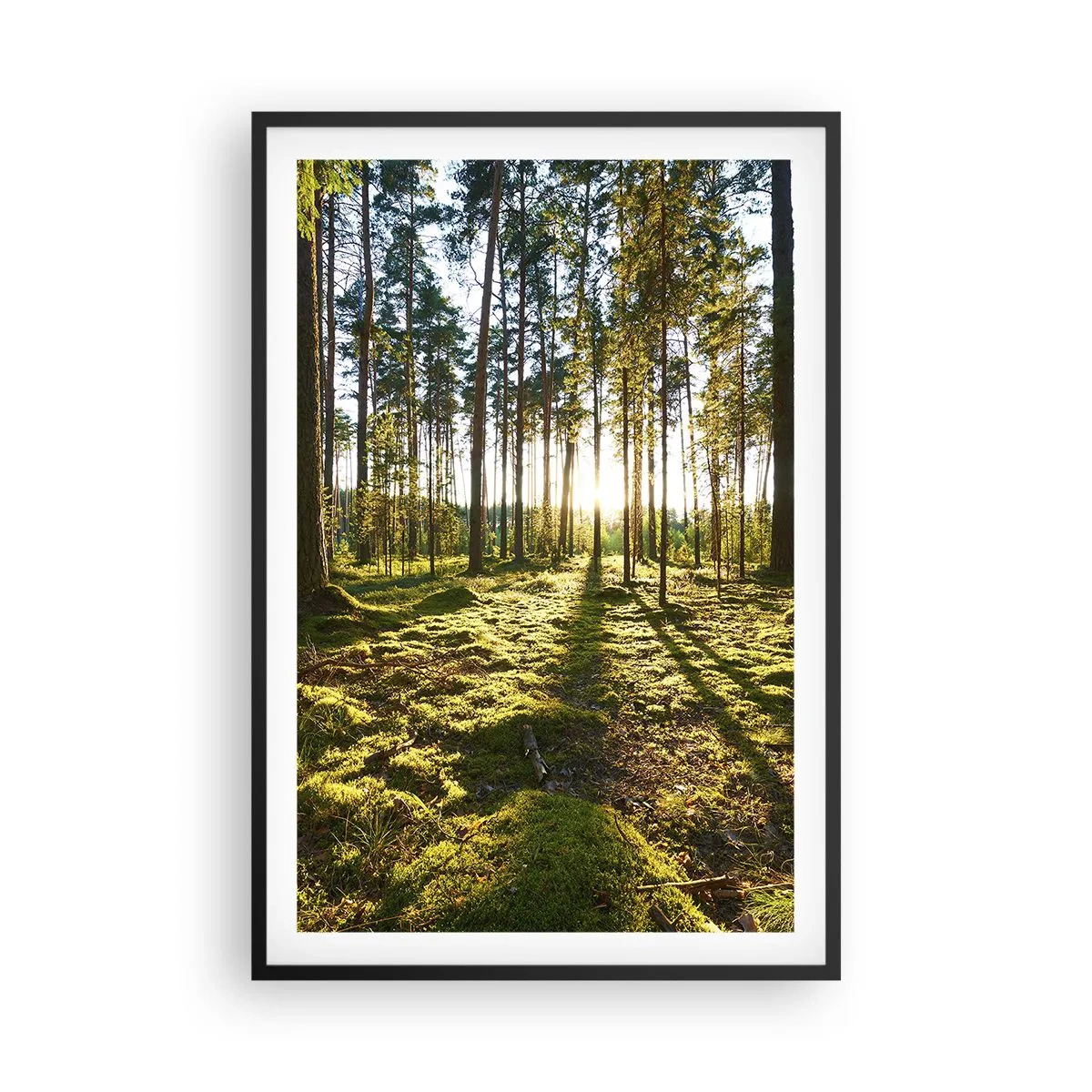 Poster în ramă neagră - Pădurea misterioasă - 61x91 cm