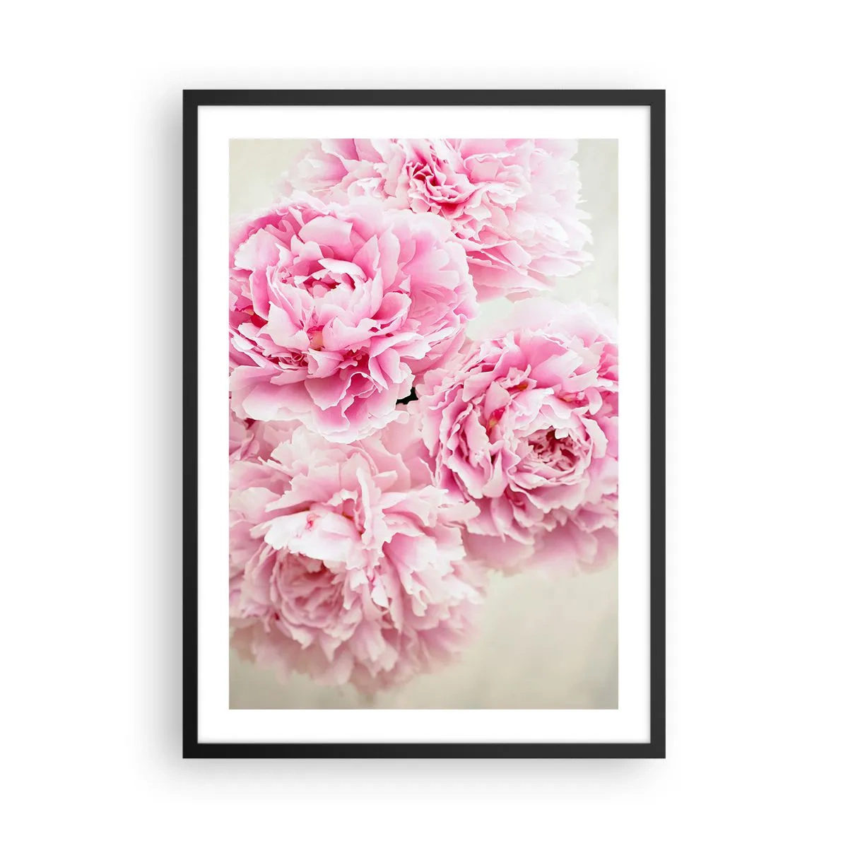 Poster în ramă neagră - Un buchet de bujori roz pe un fundal deschis - 50x70cm - În luxul roz - Decorațiune modernă pentru perete pentru living și dormitor ARTTOR