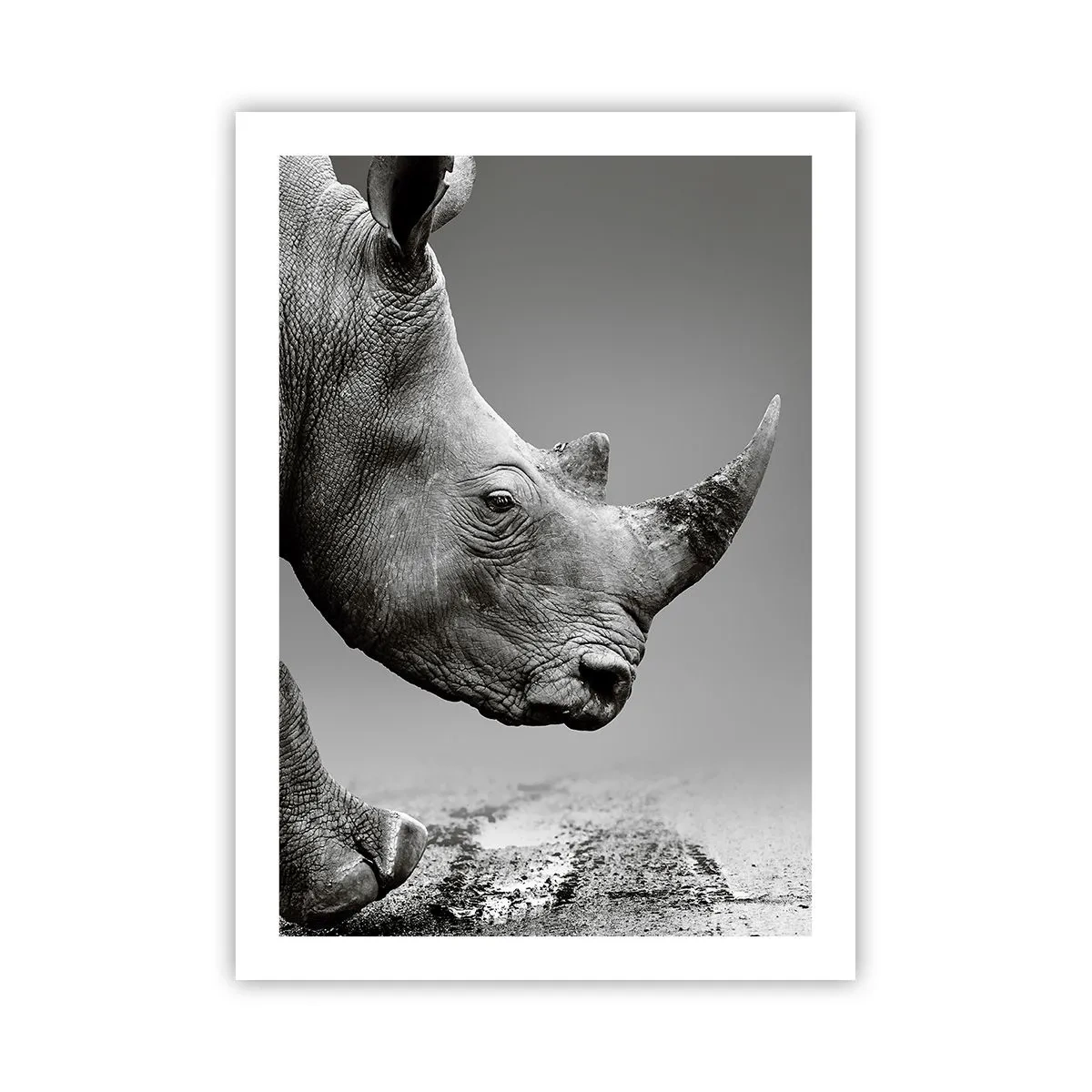 Poster - O forță de neoprit - 50x70 cm