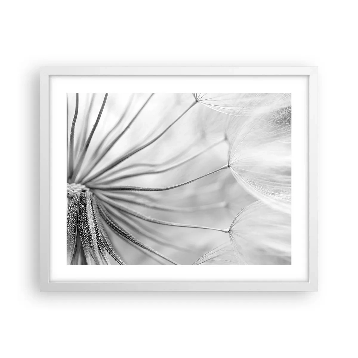 Poster în ramă albă - Suflarea zmeilor - 50x40 cm