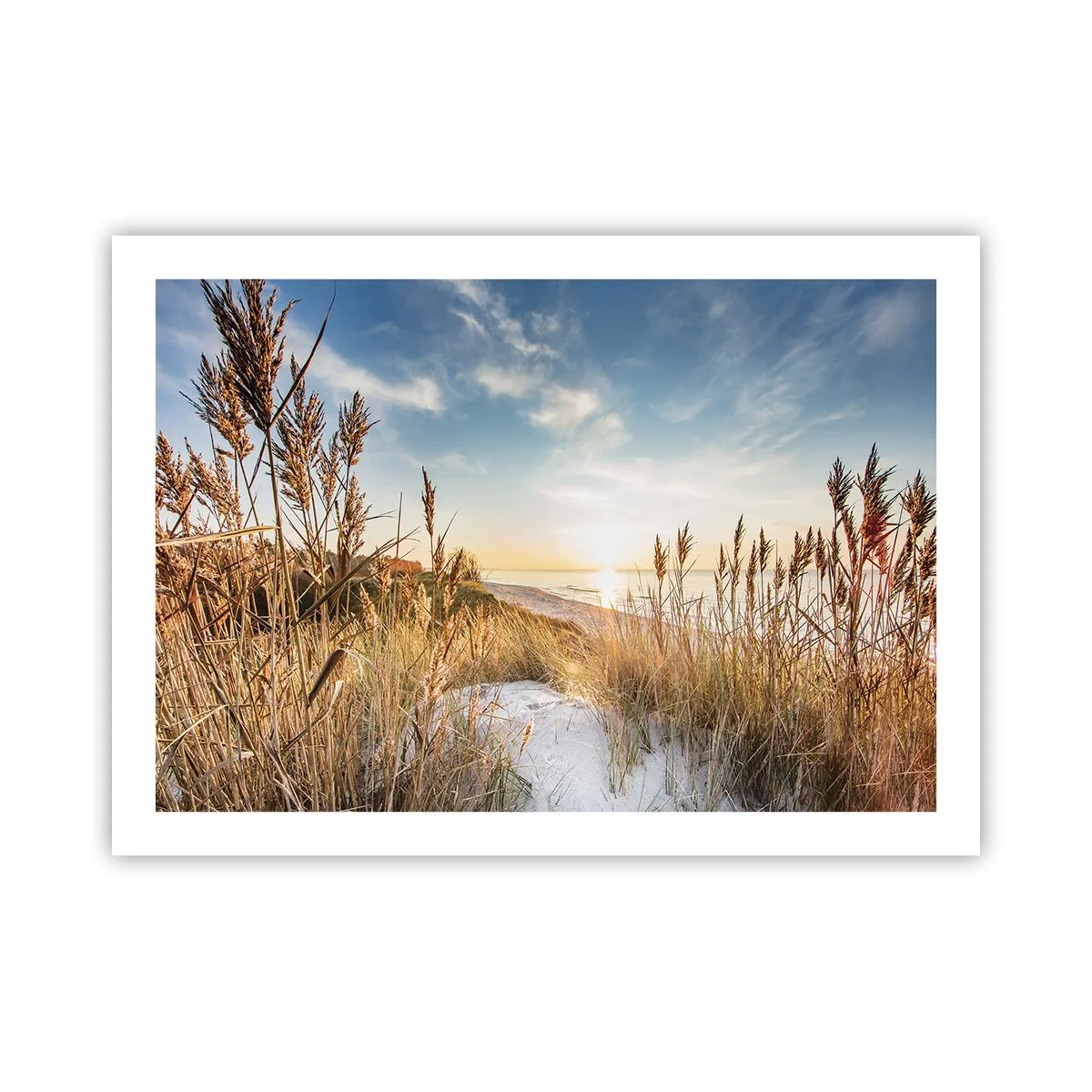 Poster - Plaja de nord - 70x50 cm