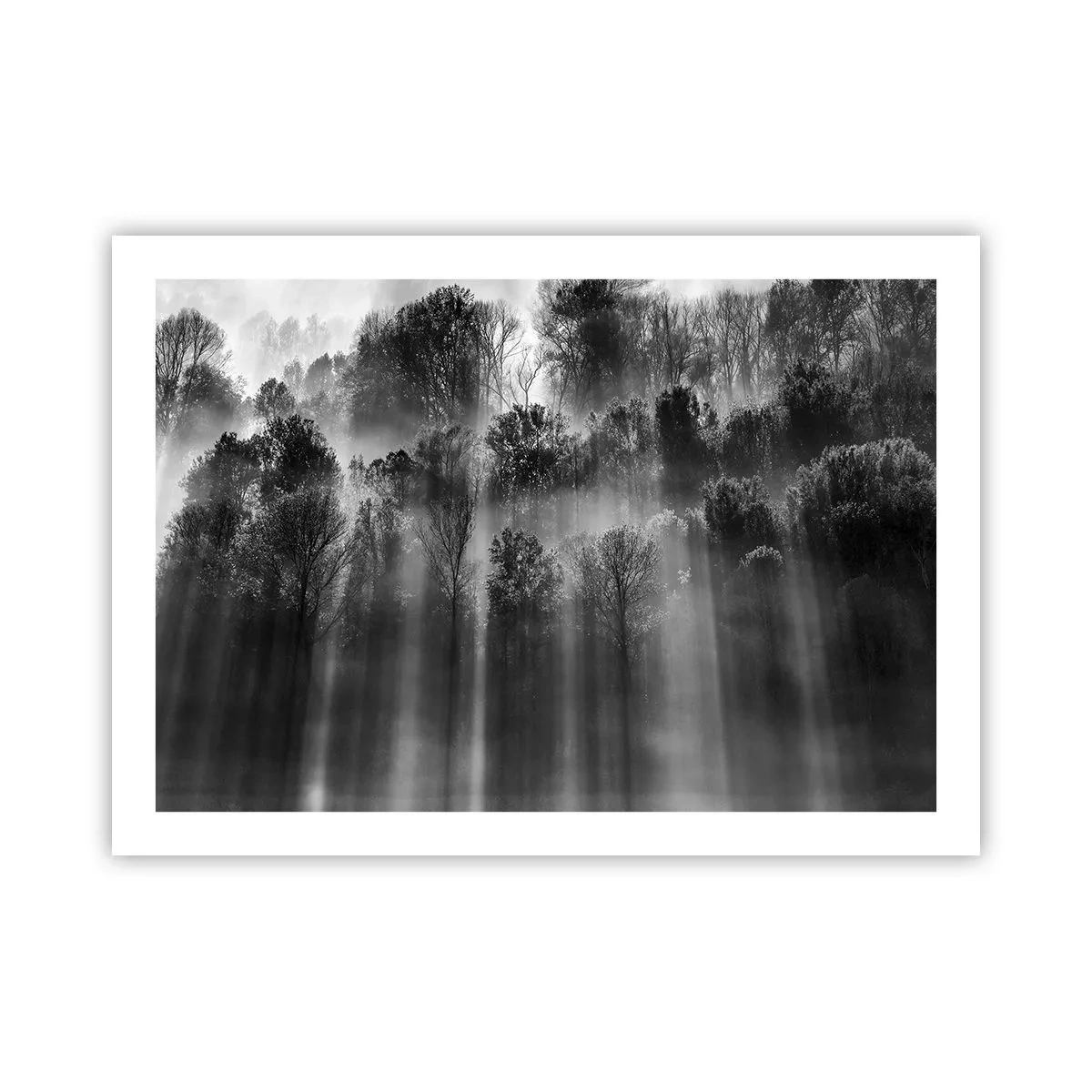 Poster - În fluxuri de lumină - 70x50 cm