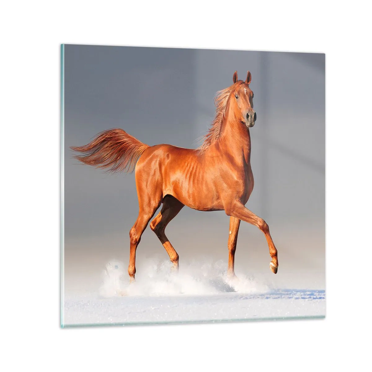 Tablou pe sticlă - Dansul grației - 30x30 cm