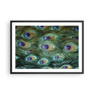 Poster în ramă neagră - O privire cu ochi de păun - 70x50 cm