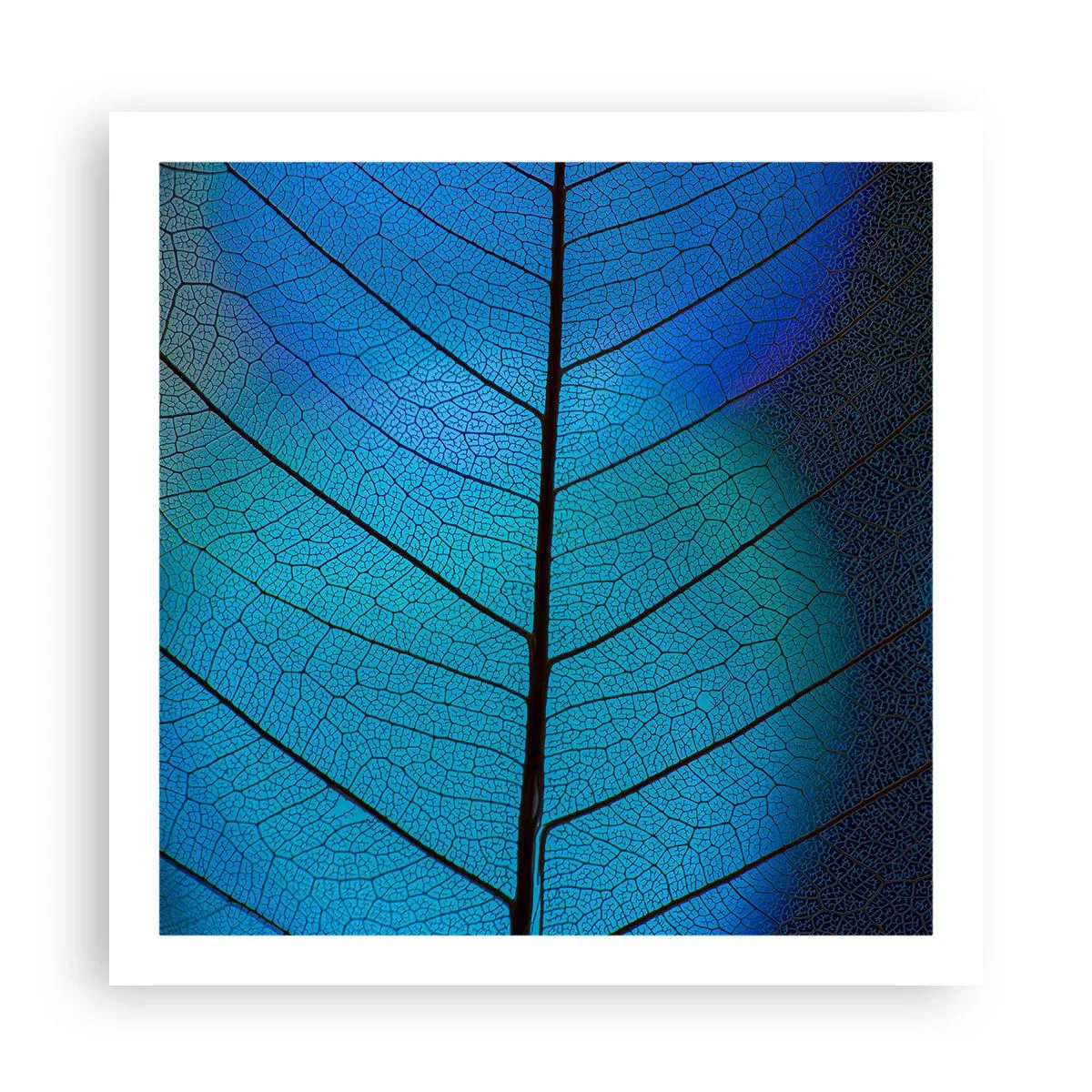 Poster - Construcție de finețe - 60x60 cm