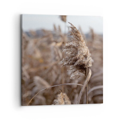 Tablou pe pânză - E timpul să zbori cu vântul - 70x70 cm