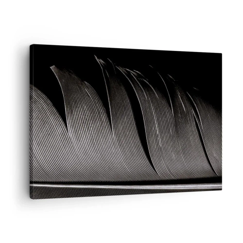 Tablou pe pânză Canvas - Textură de pene alb-negru într-un stil minimalist - 70x50cm - Pana - o construcție minunată - Decorațiune modernă pentru perete pentru living și dormitor ARTTOR