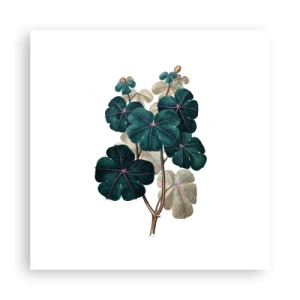 Poster - Dintr-un vechi ierbar - 50x50 cm