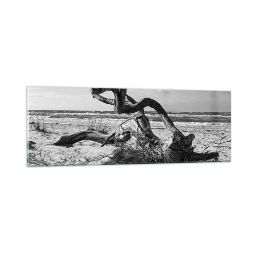 Tablou pe sticlă - Sculptură marină - 90x30 cm