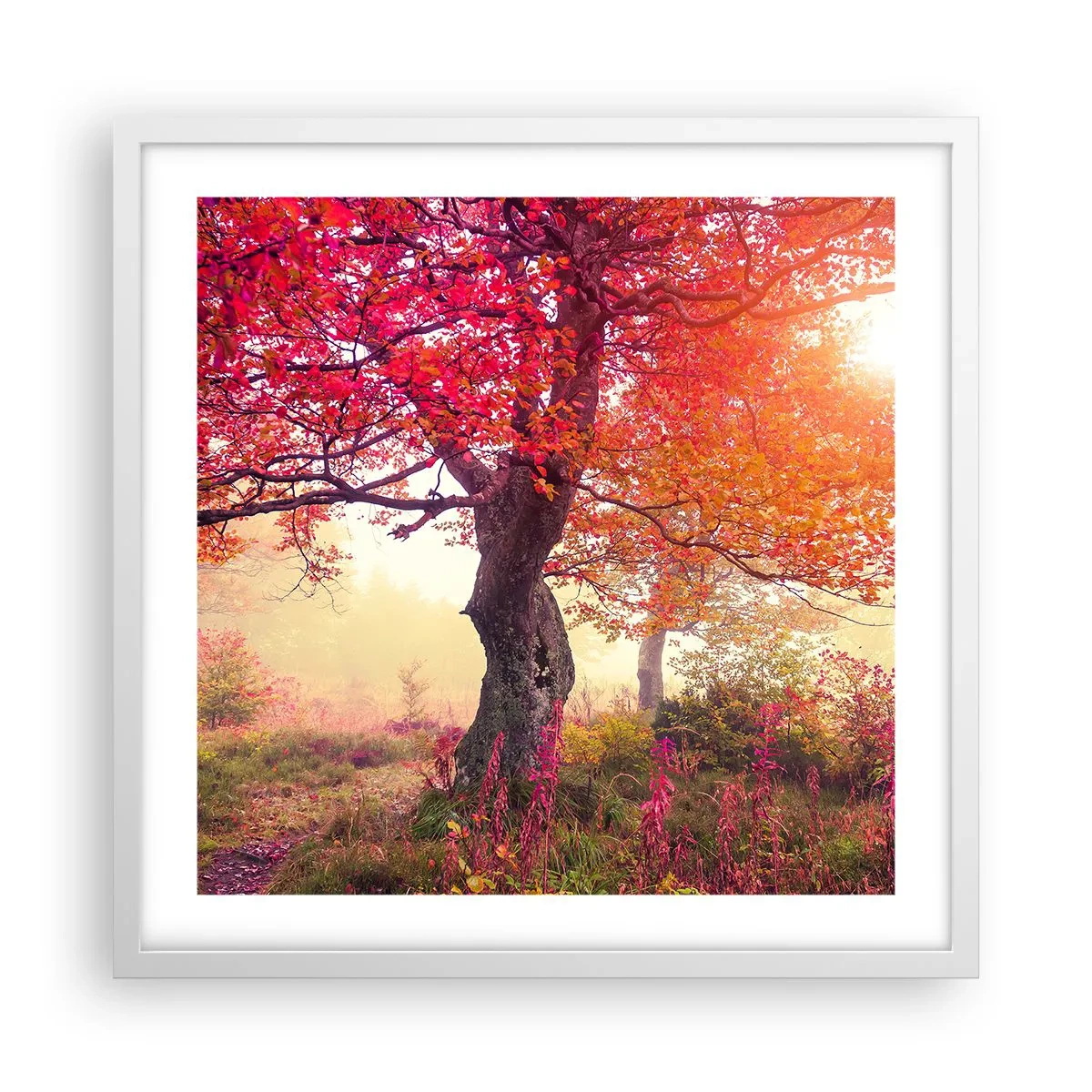 Poster în ramă albă - O frenezie de înflorire - 50x50 cm