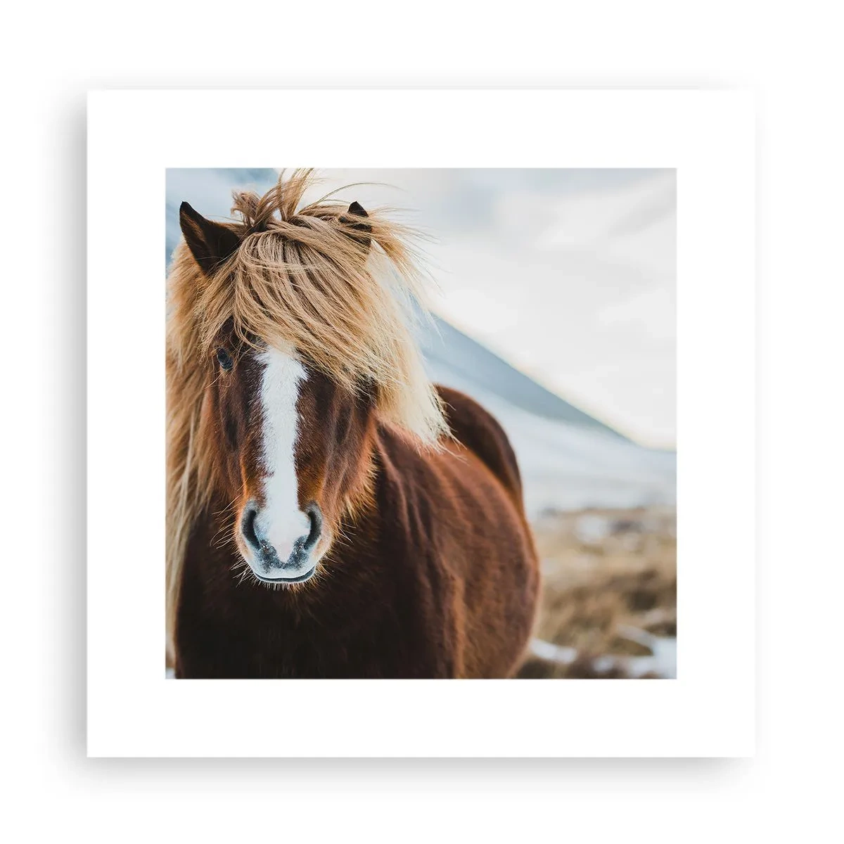 Poster - Simțiți libertatea? - 30x30 cm
