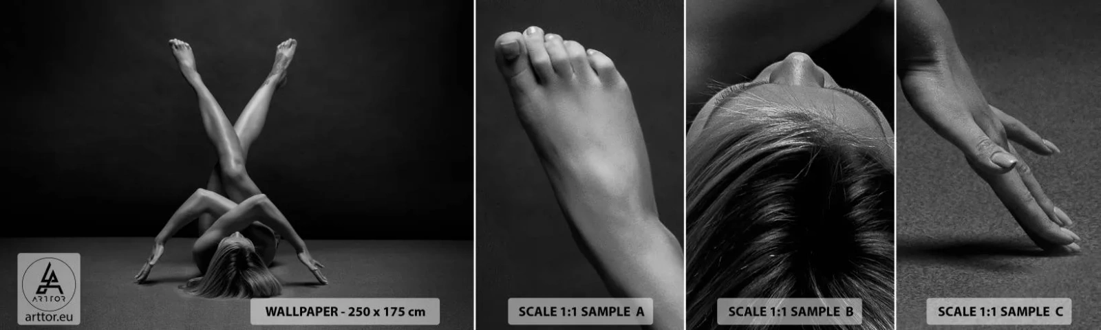 Mostră de Tapet Standard Eco - Geometria nudității - Femeie, Bucată, Corp - 100x30 cm