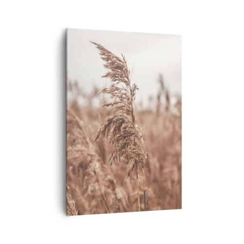 Tablou pe pânză - Toamna pe câmpuri - 70x100 cm