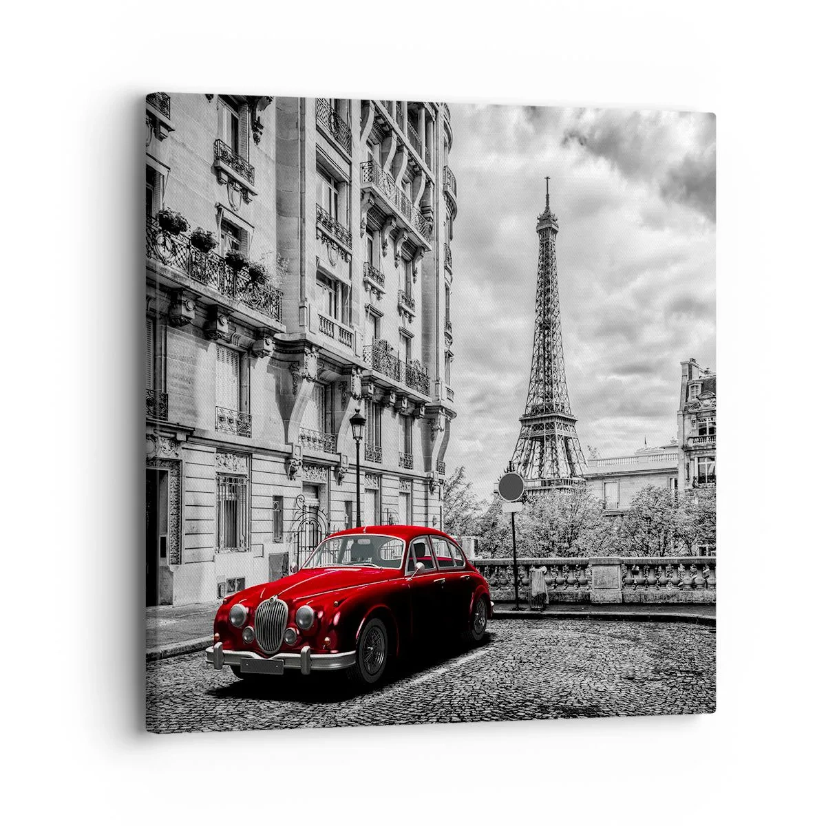 Tablou pe pânză - Prădător în oraș - 30x30 cm