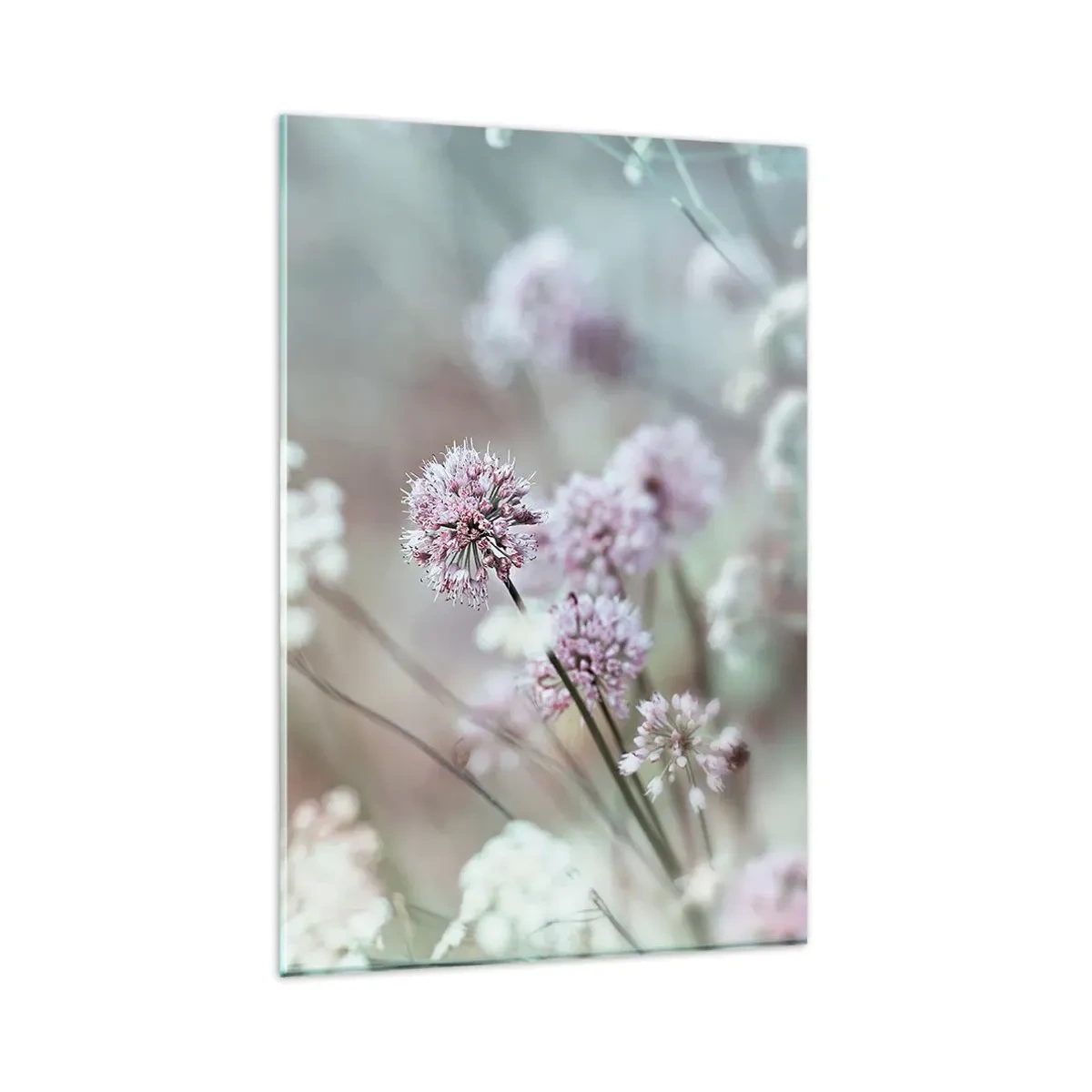 Tablou pe sticlă - Ierburi dulci filigranate - 80x120 cm
