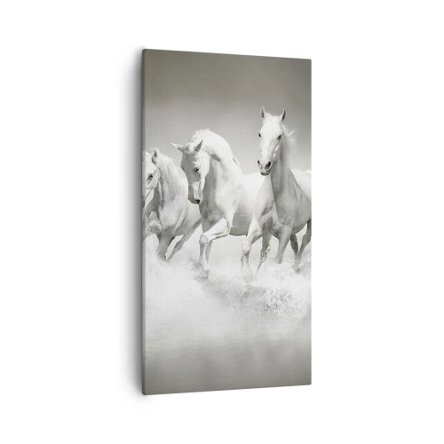 Tablou pe pânză - Nebunie albă - 55x100 cm