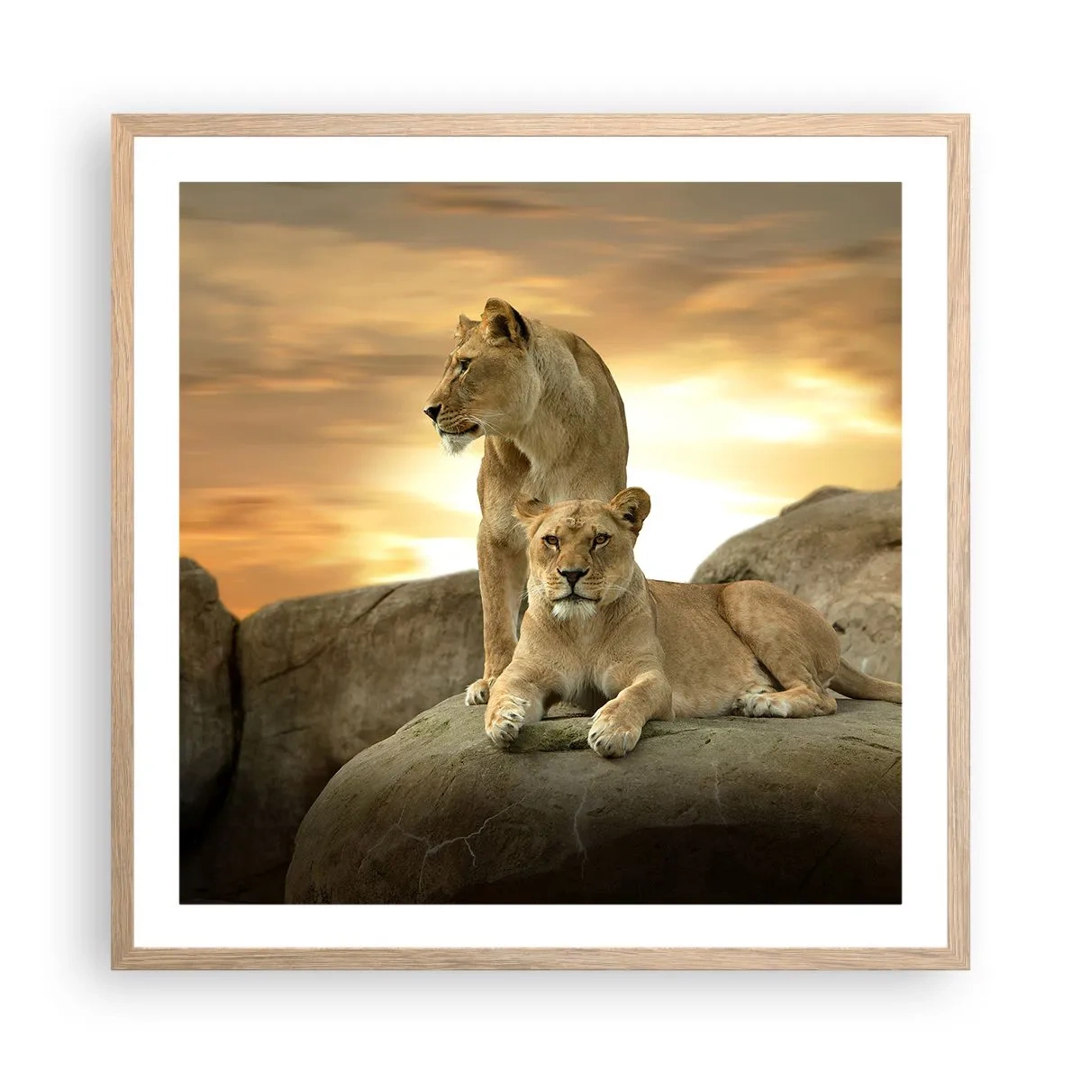 Poster în ramă de stejar deschis - Maiestate regală - 60x60 cm